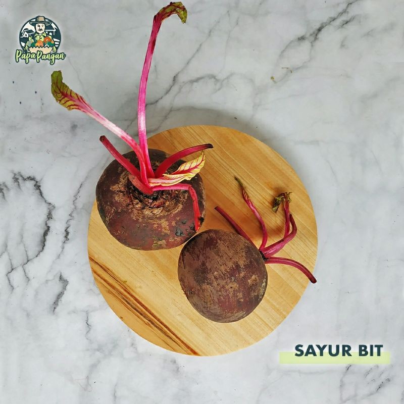 

Buah Bit Fresh Bogor Papapangan - 500 gram