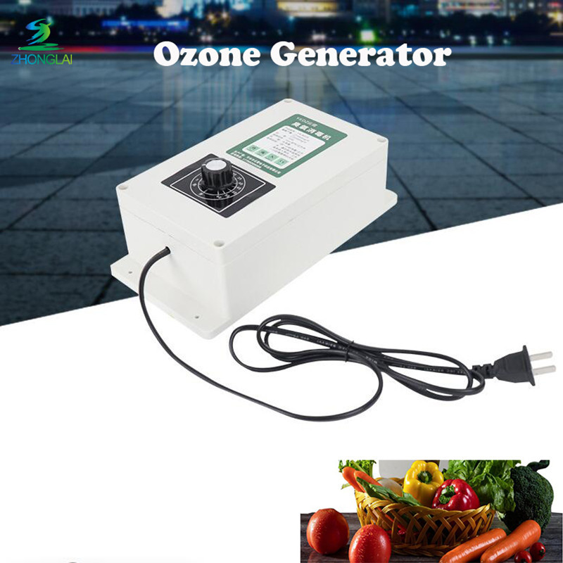 2000Mg/Jam Mesin Generator Ozon Desinfeksi Pemurni Air Udara Rumah untuk Minyak Buah Sayuran Makanan