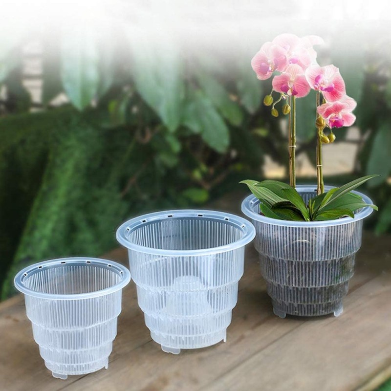 1 Buah Pot Anggrek Plastik Bening Berlubang, Pot Bunga Tanaman Sukulen Wadah Berdaging Dekorasi Tama