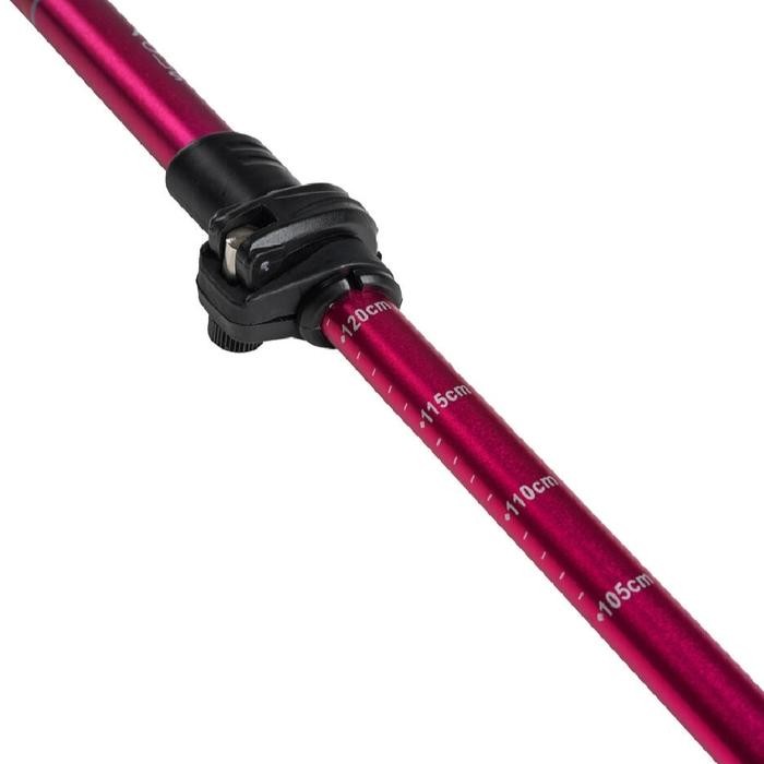 Eiger WS Valor Trekking Pole - Pink