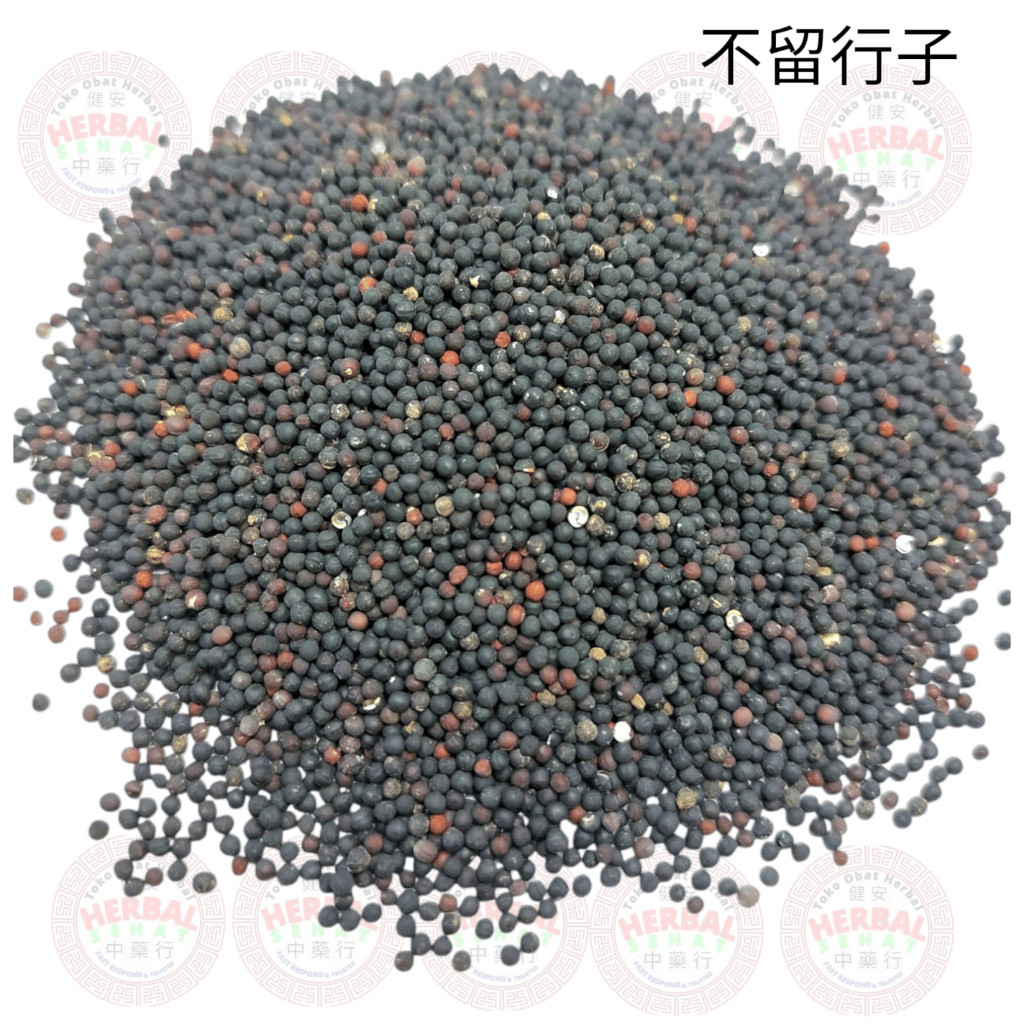 

Bu Liu Xing Zi Wang Bu Liu Xing Zi Zhi Vacarria Herbs [PREMIUM]