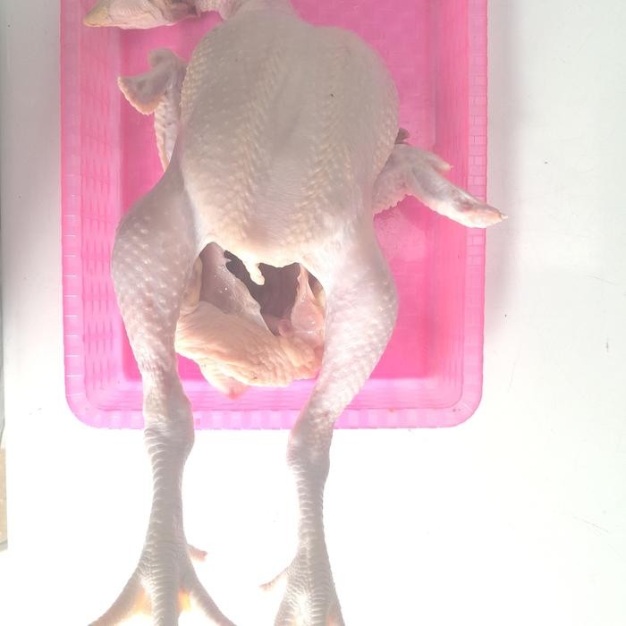 

AYAM POTONG SEGAR (bukan frozen) 800gr/1,5kg FREE DI BERSIHKAN