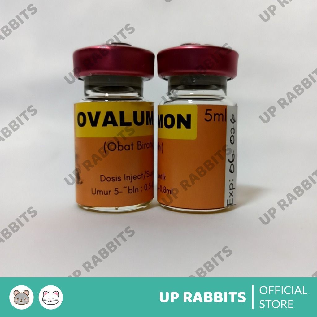 RB22 ovalumon inject 5ml obat kawin kelinci free spuit 1ml