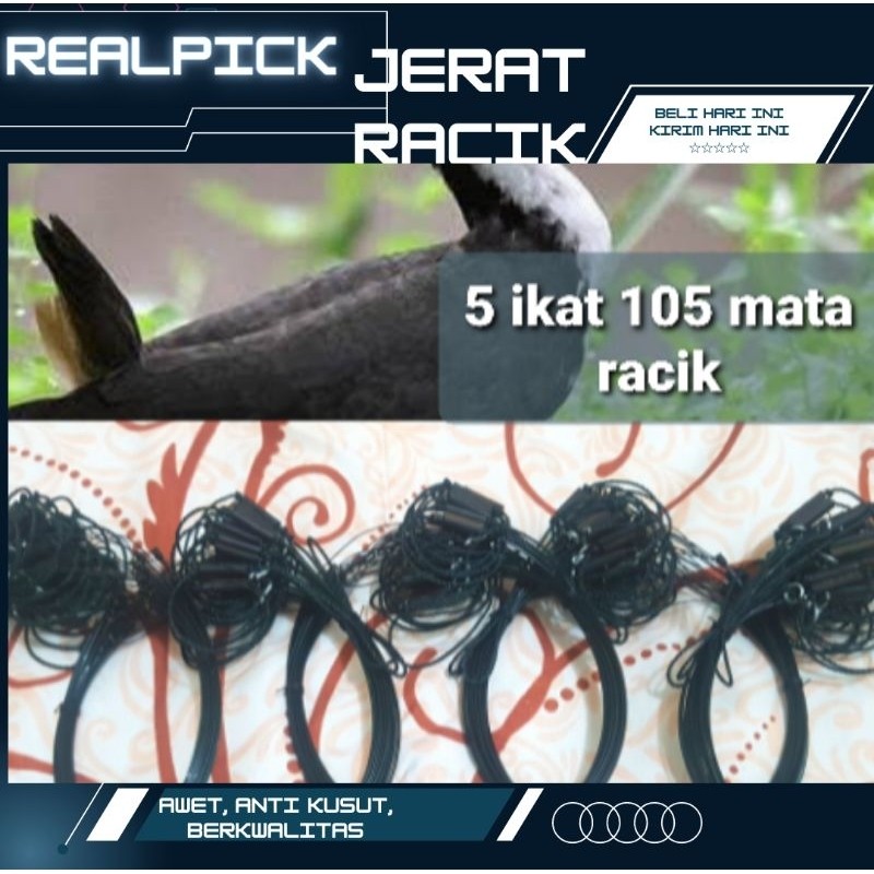 RB22 ARING JERAT 105 LUBANG MATA RACIK RUAK RUWAK AYAM HUTAN WAK WAK 5 IKAT TIDAK MUDAH KUSUT BURUNG
