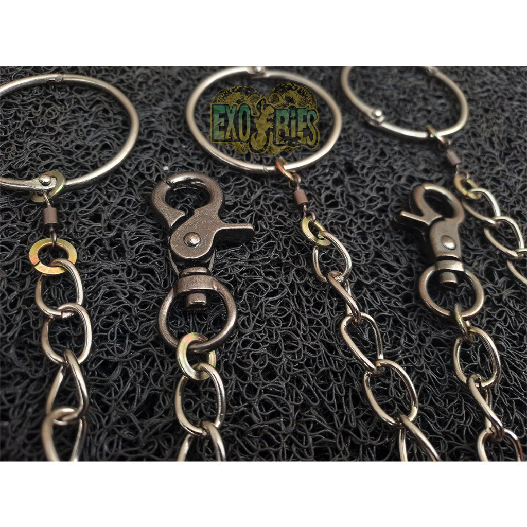 RB22 Rantai burung Kakatua Jambul Kuning Rantai Afgrey Rantai Kakatua Moluccan Rantai Kakatua Lesser