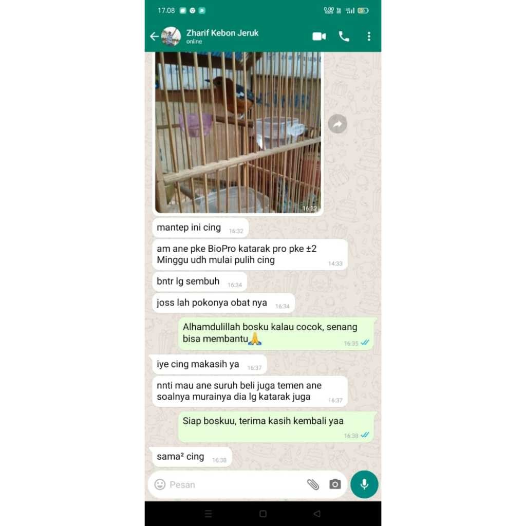 RB22 OBAT Burung Katarak BIOPRO KATARAK PRO Menyembuhkan Katarak untuk Semua Jenis Burung
