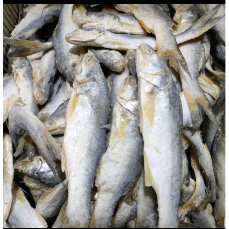 

Terlaris! Ikan Asin Sinangin Medan / ikan asin kuro kecil 250gr