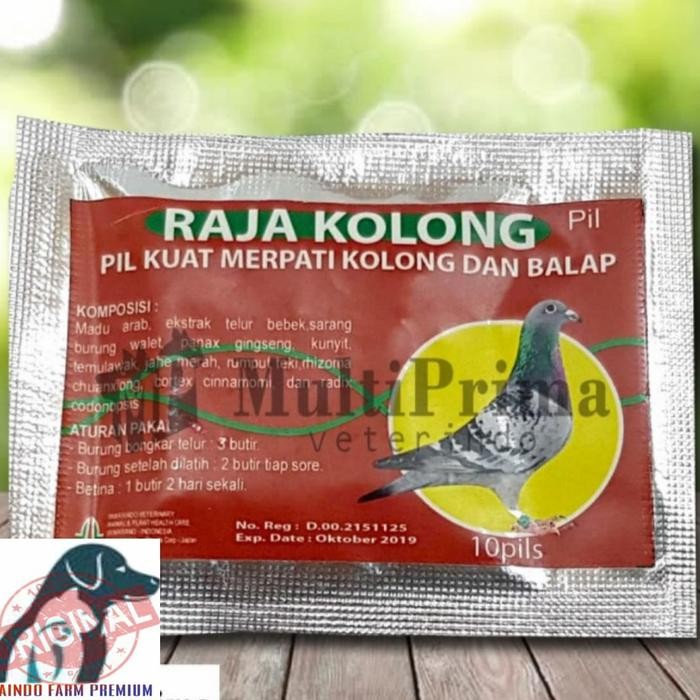 Jamu Pil Obat Merpati Raja Kolong Doping Burung Raja Kolong