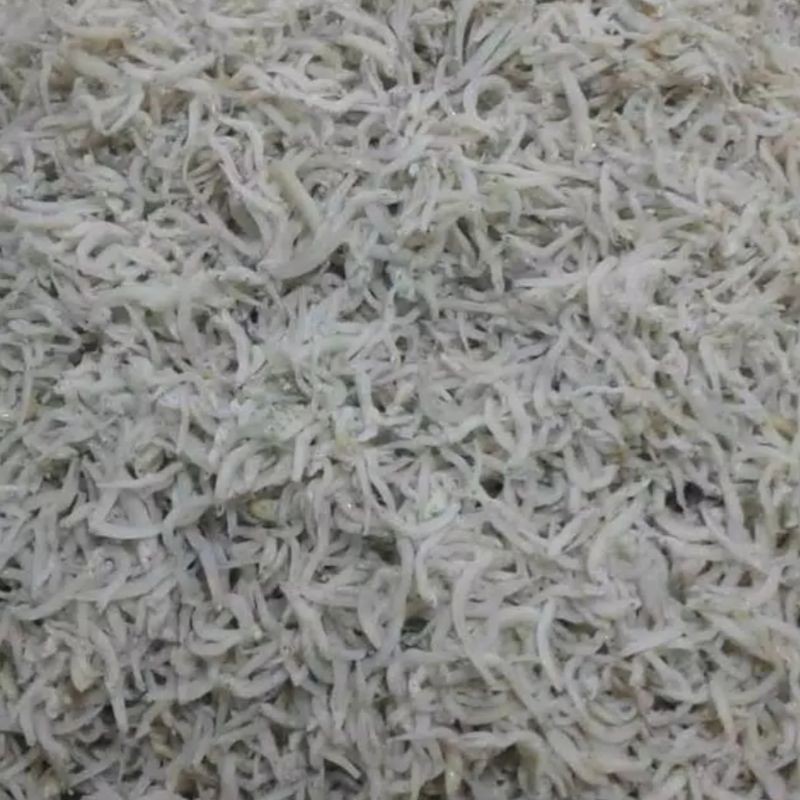 

Terlaris! Teri Toge 250 Gram