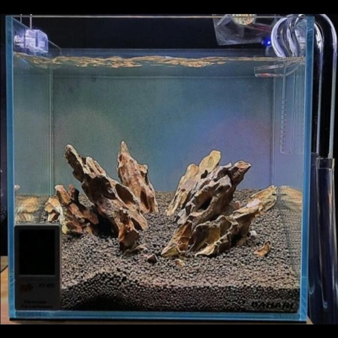 Mini Glass Lily pipe mini bukan skimmer stainless