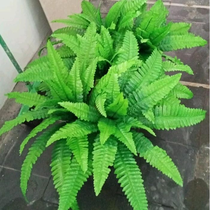 PAKIS BOSTON/BUNGA PLASTIK/BUNGA HIAS/BUNGA DEKORASI/BUNGA TAMAN/TANAMAN HIAS/TANAMAN PLASTIK/BUNGA