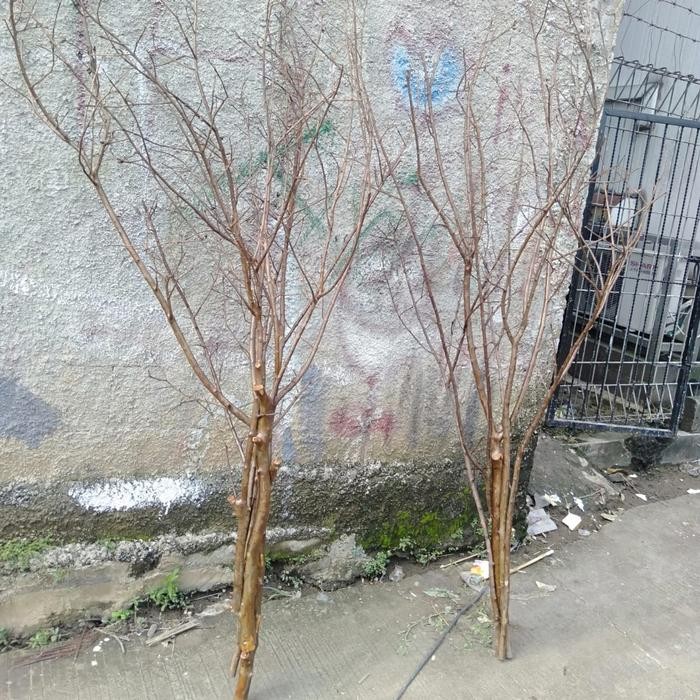 RANTING BUNGA/RANTING KAYU KHUSUS UNTUK BUNGA PLASTIK/BUNGA HIAS