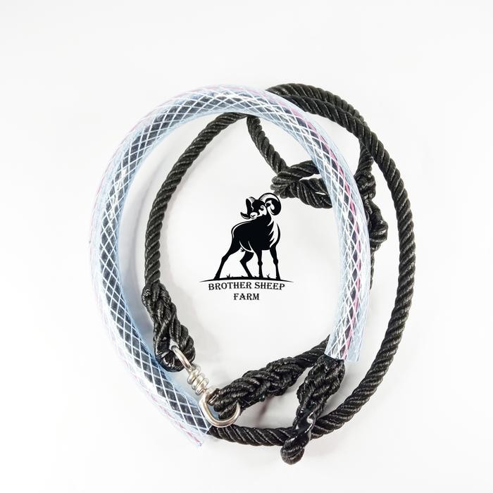 PREMIUM Tambang Domba (Petet, Jajalon, Induk Betina