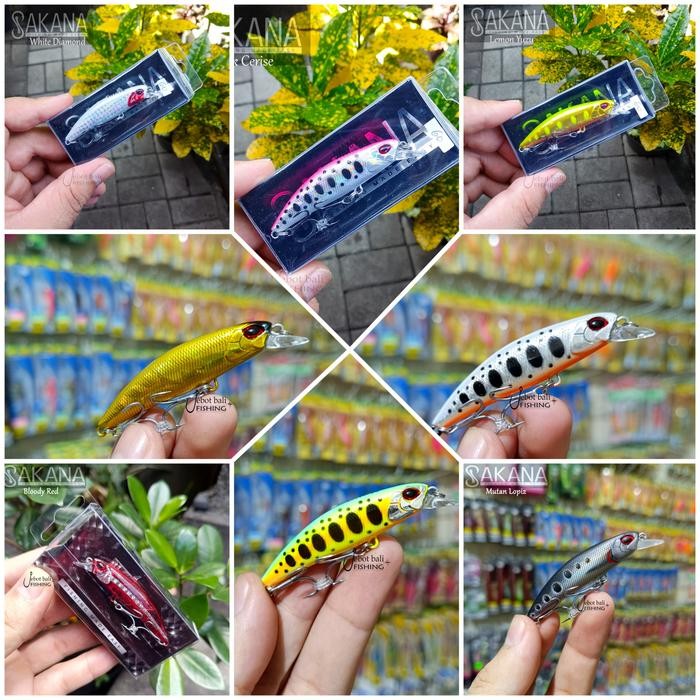 Lure Minnow Sakana Blacktip 60s