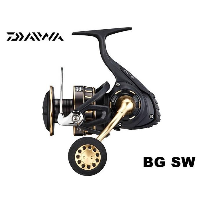 REEL DAIWA 23 BG SW SERIES