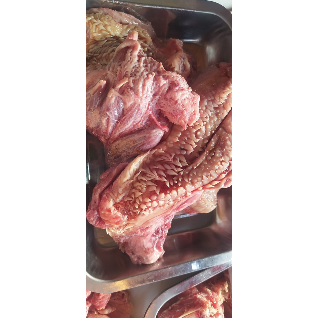 

Ready JT Daging Cingur/Pipi Kepala Sapi / Beef Lips 1kg (AUS)