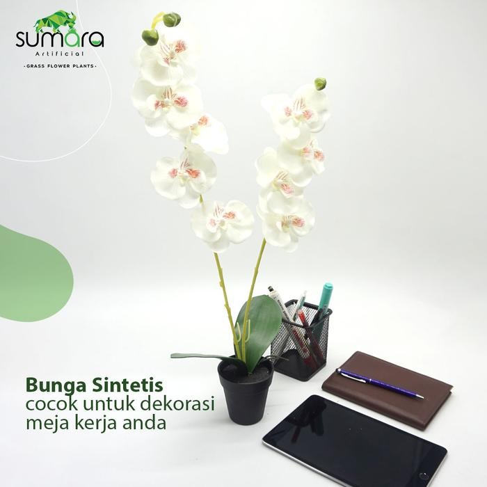 Bunga Anggrek Putih Plastik + Pot Cantik