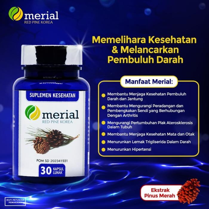 MERIAL RED PINE ASLI KOREA