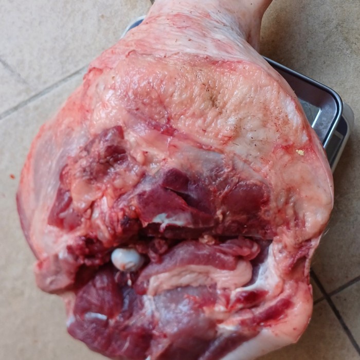 

DAGING PAHA BABI UTUH 11 KILO KODE 1276