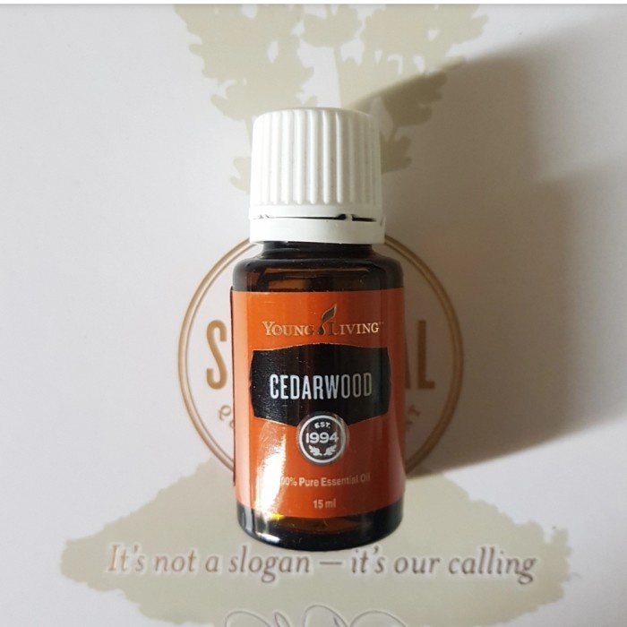 Cedarwood 15ml Young essential YL