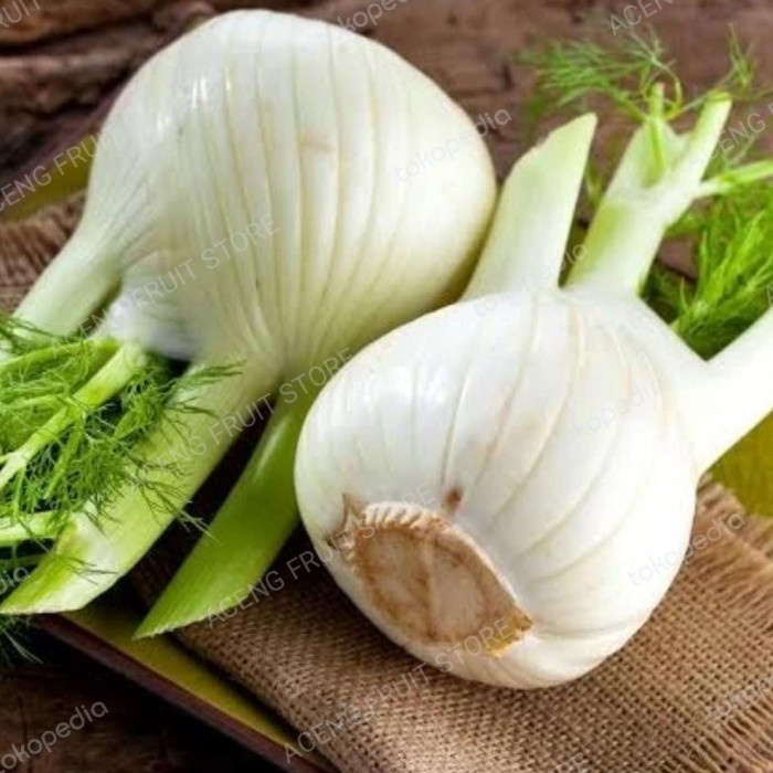 

terbaru !!! fennel australia super fresh 1 kg ready