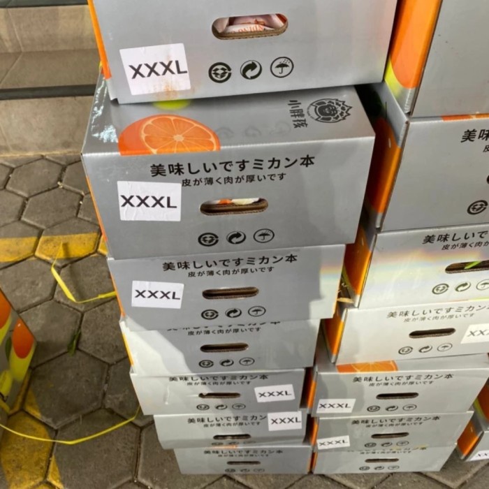 

Buah Jeruk Papagan Dekopon Chunjian Jumbo XXXL / Box