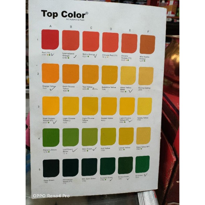 Flashshow Top Color Danapaint 1 Kg