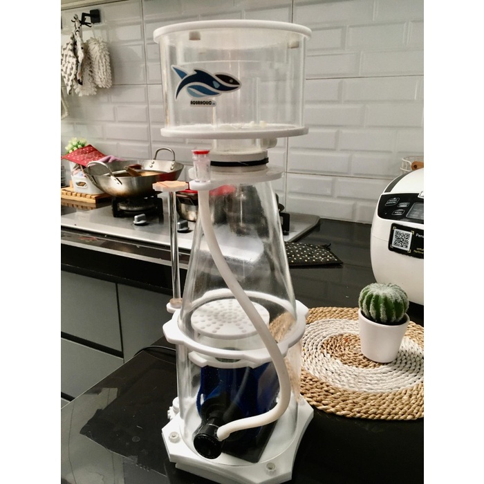 TERLARIS Skimmer Protein AL1000DIY