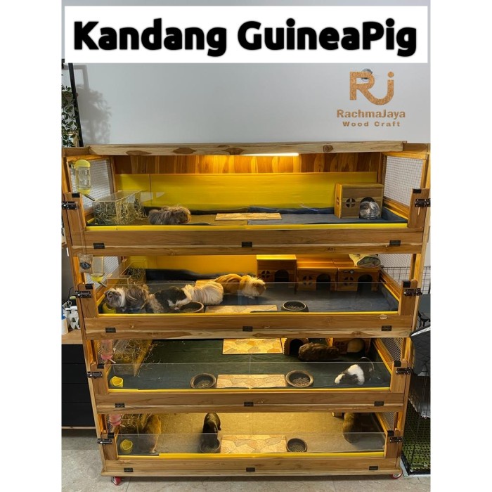 kandang marmut guinea pig