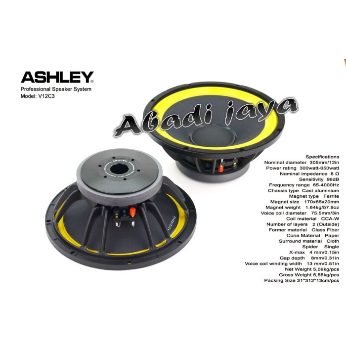 TERLARIS speaker system ashley v12c3 12inch ORYGINAL ASHLEY
