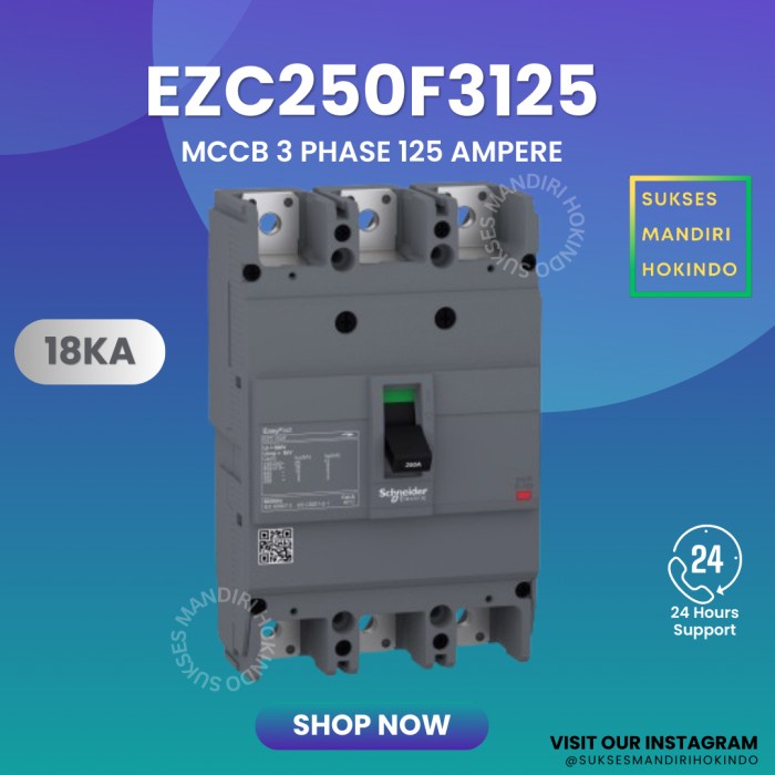 Terlaris Mccb 3 Phase 125 Ampere 3P 125A Originalsni Schneider Easypact Ezc250F