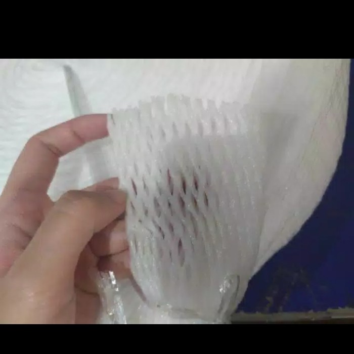 [Masih] NET FOAM BUAH, FOAM NET BUAH PUTIH -