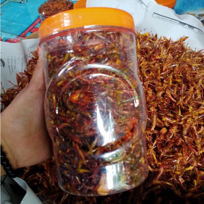 

terbaru !!! belalang utis goreng toples sosis jumbo harga 55rb an ready