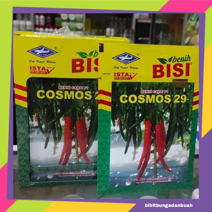 New Benih Cabai Besar Cosmos 29 F1 10 Gram Ready