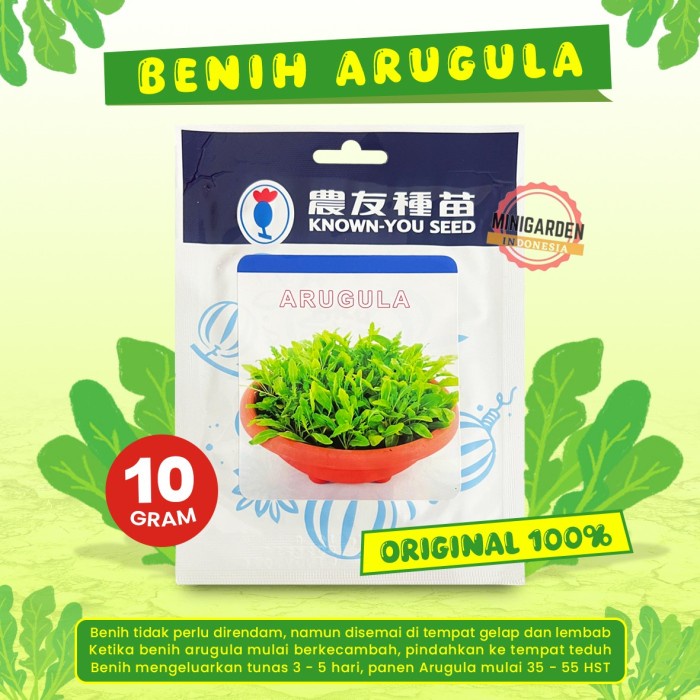 New Benih Arugula 10 Gram Biji Bibit Tanaman Arugula Rocket Ready