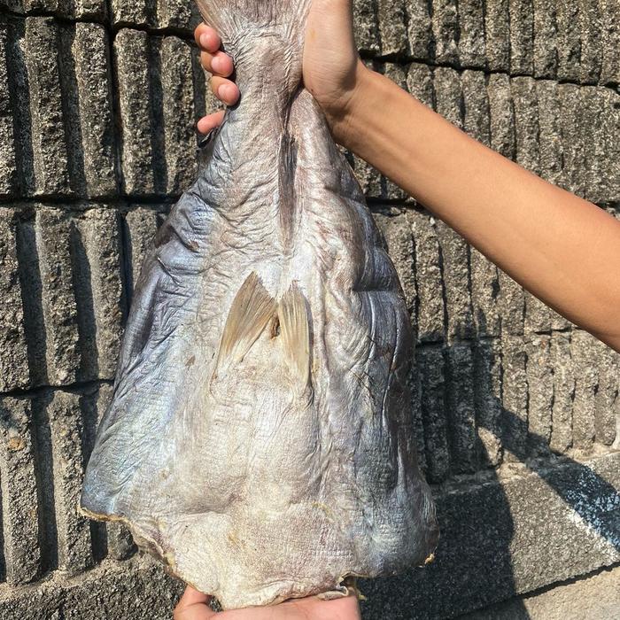 

Jambal roti super jahan empuk 1kg