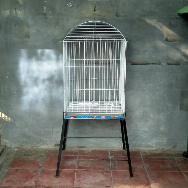 Kandang burung kotak buat Beo Jalak Nuri dll DiskonJual MurahHarga DiskonObral