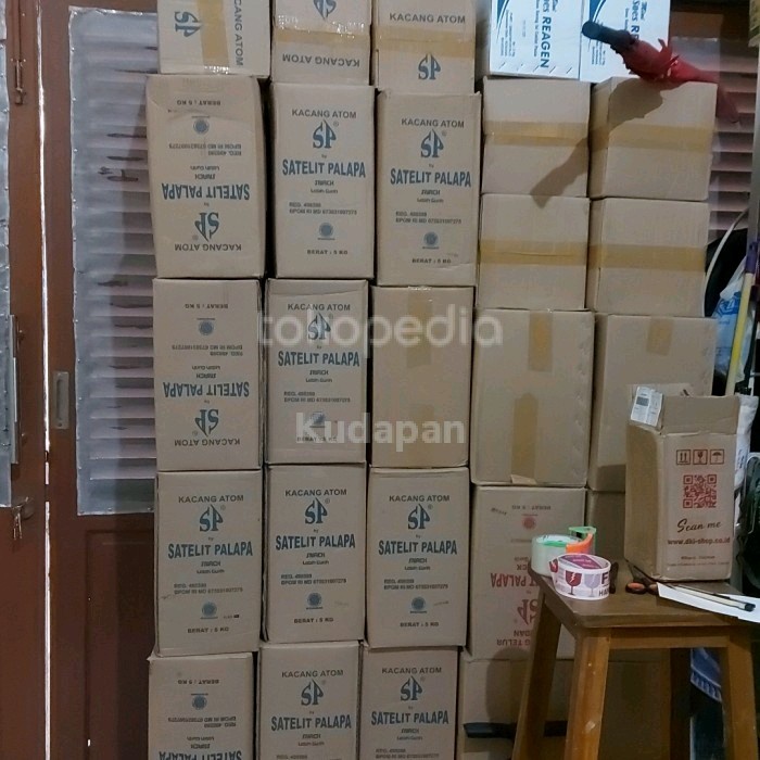 

kacang atom satelit palapa 1 dus @5kg