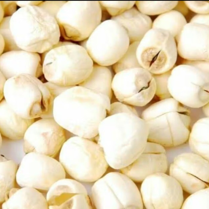 

SALE !!! 500GRAM BIJI TERATAI LIAN ZI LIEN ZI LOTUS SEED LIANZHI LIEN ZHI LIANZI READYY