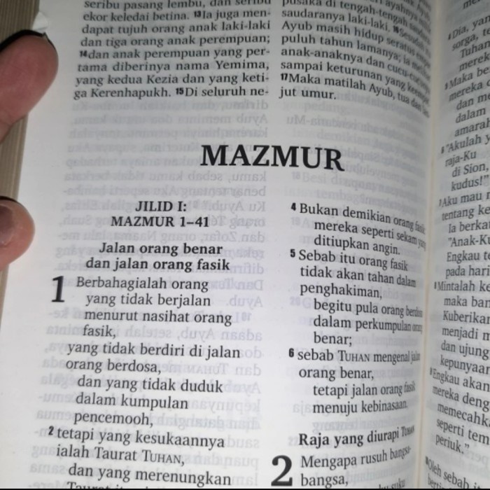 

Alkitab Edisi Huruf Besar, Khusus Lansia