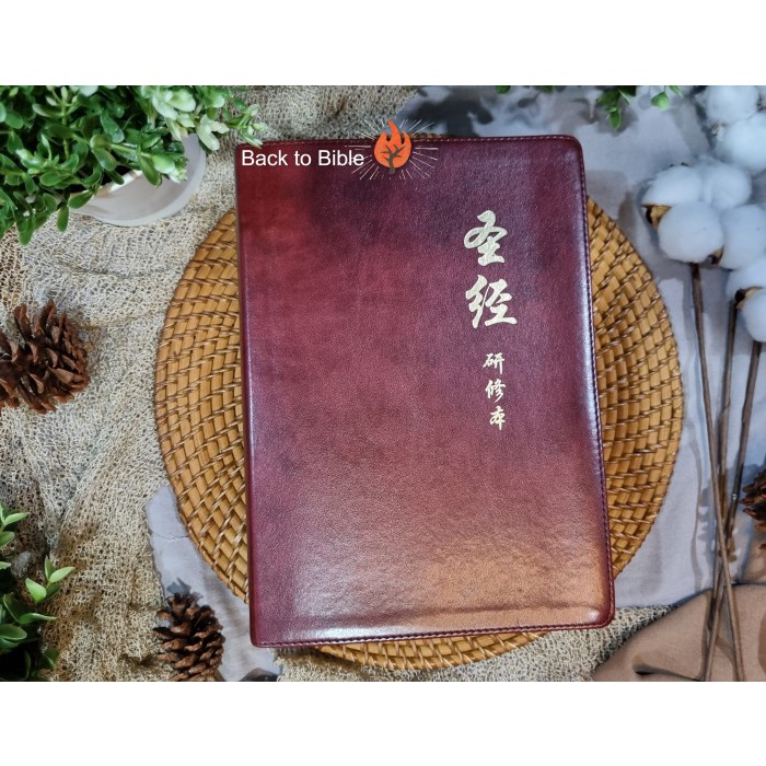 

Alkitab Chinese Mandarin Study Bible
