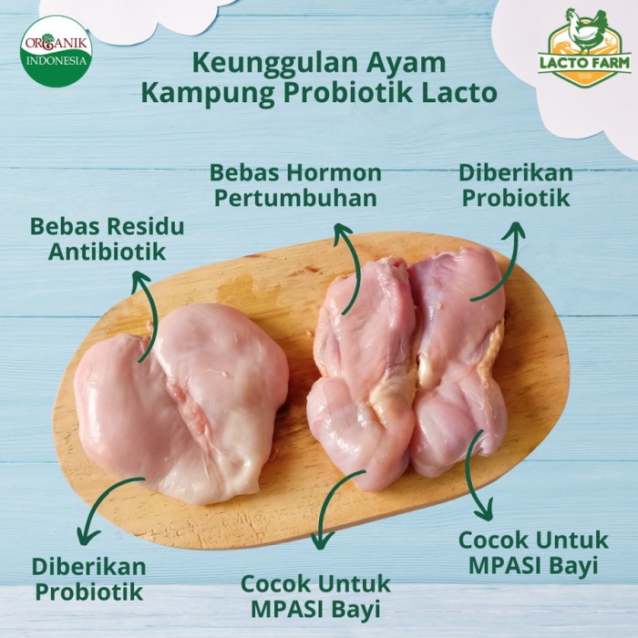 

SALE TERBARU AYAM KAMPUNG UTUH ATI 700 GRAM - POTONG 8 BY LACTO FARM READYY