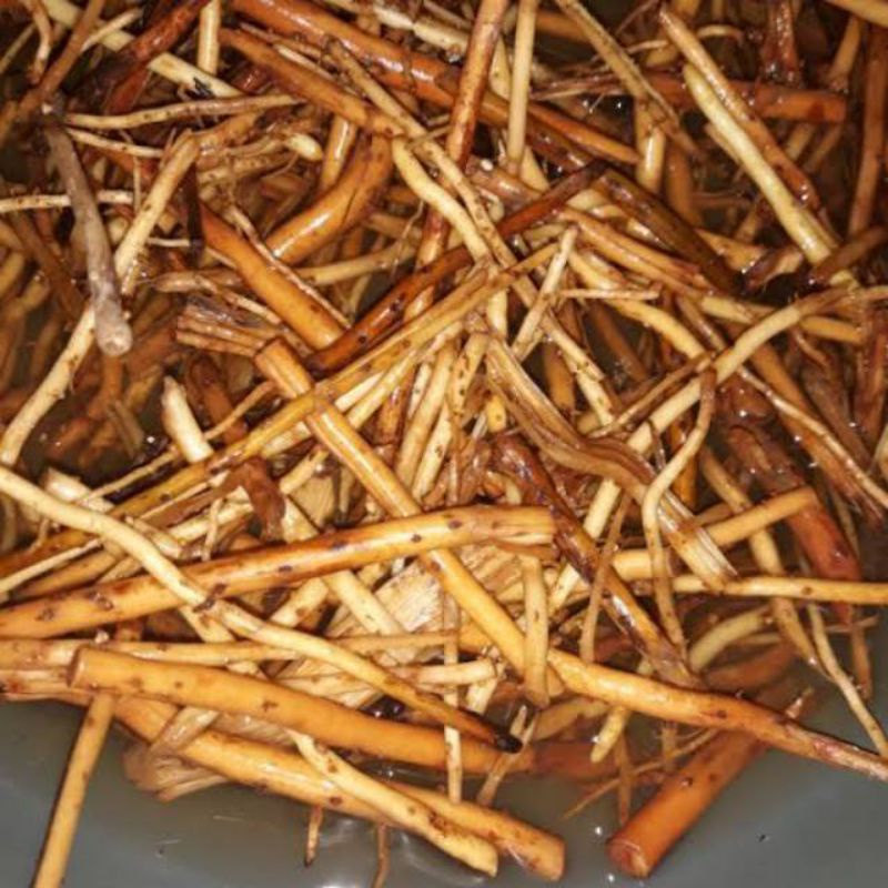 

jual Akar Pohon Pinang Frest 500Gram