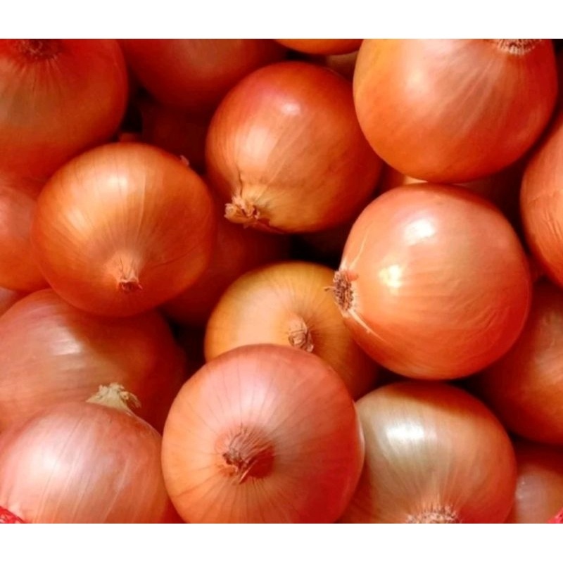 

Bawang Bombay fresh