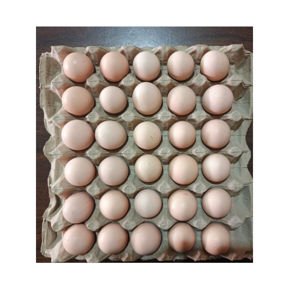 

Telur Ayam Kampung per tray isi 30 Butir