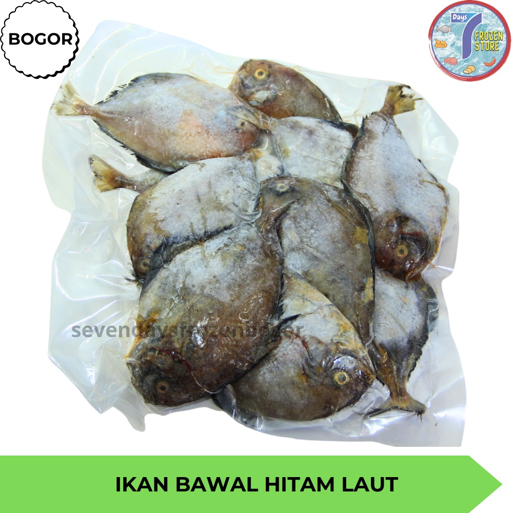 

Ikan Bawal Hitam Laut Beku Frozen