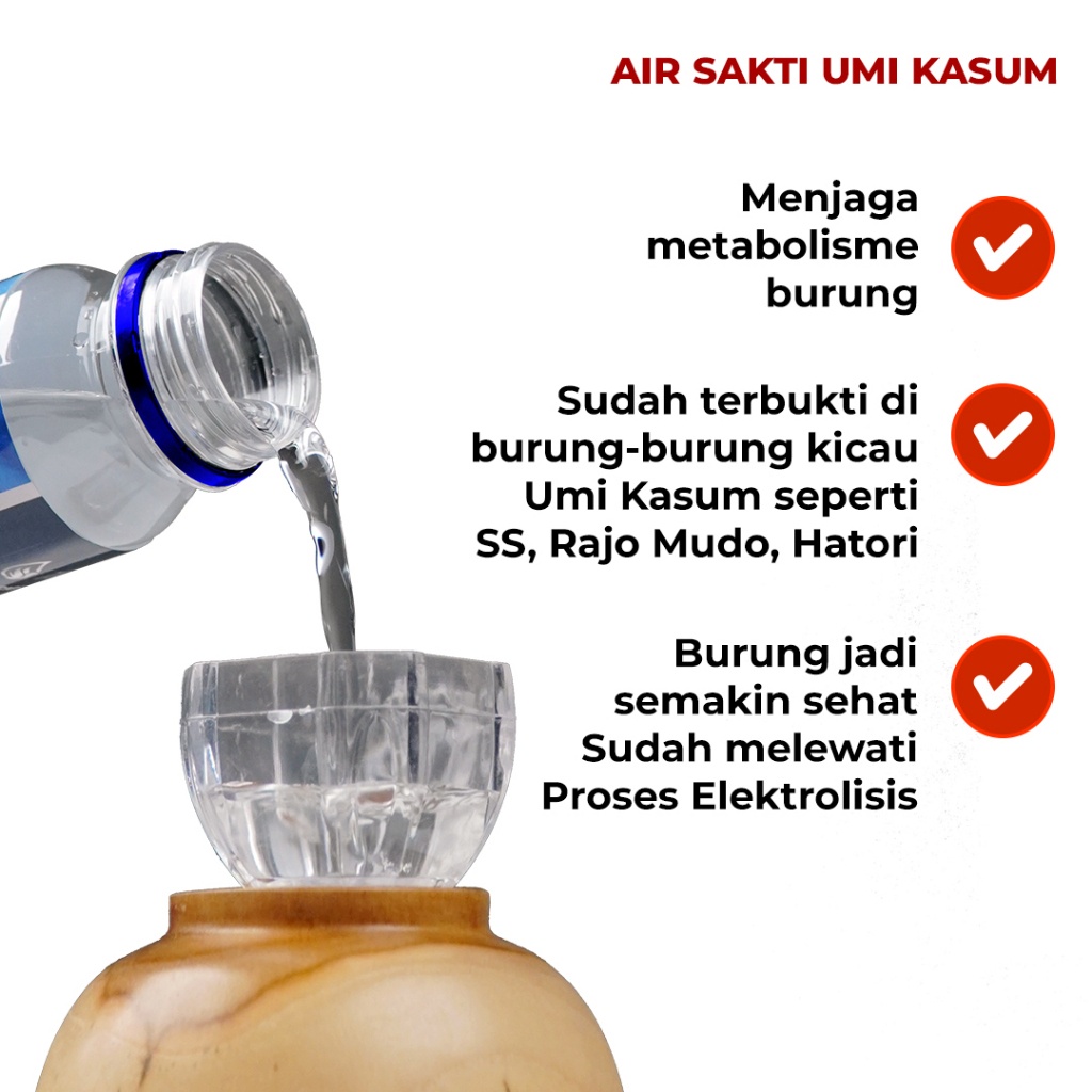 

Air Sakti Umi Kasum 1 Karton Isi 20 Botol Free Jersey Champion Desain Eksklusif I Air Burung Juara