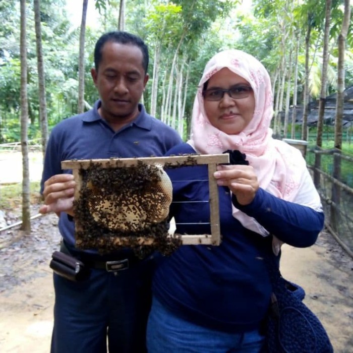 

BARANG TERLARIS Madu bantal, madu asli hutan kalimantan