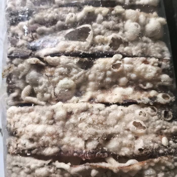 

KRIPIK KERIPIK PISANG MANIS KERING CRISPY PAPAN TEPUNG 500GR Food Cemilan Snack pisang Banana
