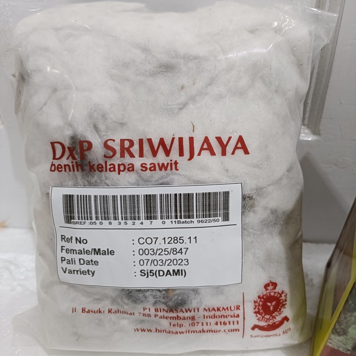 PROMO Bibit benih tanaman sriwijaya 5 SJ5